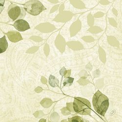 208443.jpg 47020-360x-DUNI-Bio-Dunisoft---Serviette-40-x-40-cm-Paisley-leaves.jpg