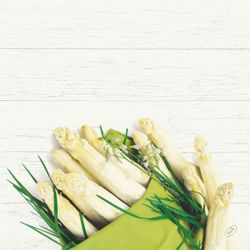 206407.jpg 47023-360x-DUNI-Bio-Dunisoft---Serviette-40-x-40-cm-White-Asparagus.jpg