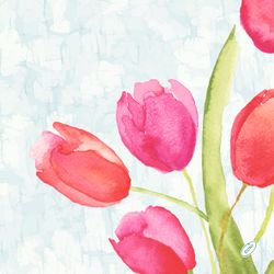 206408.jpg 47024-360x-DUNI-Bio-Dunisoft---Serviette-40-x-40-cm-Painted-Tulips.jpg