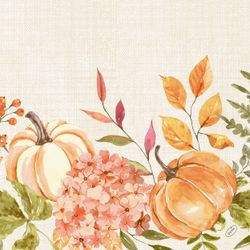211495.jpg 47031-300x-DUNI-Classic-Serviette-40-x-40-cm-Spicy-Pumpkin.jpg