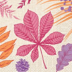 204412.jpg 47053-500x-DUNI-Tissue-Serviette-33-x-33-cm-Bright-Autumn-3-lagig.jpg
