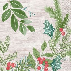 207392.jpg 47079-240x-DUNI-Tissue-Serviette-33-x-33-cm-Winter-Greenery-3-lagig.jpg