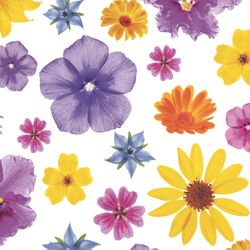 209980.jpg 47092-240x-PAPER---DESIGN-Tissue-Serviette-33-x-33-cm-Flower-flair-3-lagig.jpg