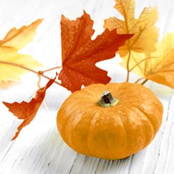 207455.jpg 47115-240x-PAPER---DESIGN-Tissue-Serviette-33-x-33-cm-Pumpkin-Leaf-3-lagig.jpg