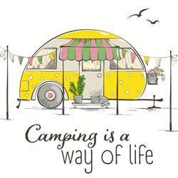 206141.jpg 47128-240x-PAPER---DESIGN-Tissue-Serviette-33-x-33-cm-Camp-Life-3-lagig.jpg