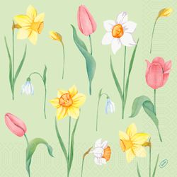 224314.jpg 47159-1250x-DUNI-Tissue-Serviette-40-x-40-cm-Spring-Melody-3-lagig.jpg