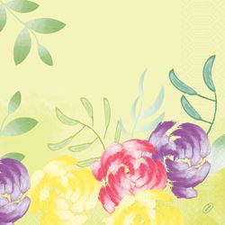 206374.jpg 47163-1000x-DUNI-Tissue-Serviette-40-x-40-cm-Soft-Tropics-3-lagig.jpg