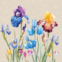 209995.jpg 47176-240x-PAPER---DESIGN-Recycling-Tissue-Serviette-33-x-33-cm-Iris-2-lagig.jpg