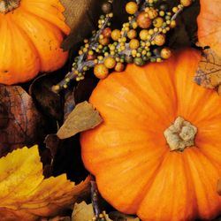 193612.jpg 47199-240x-PAPER---DESIGN-Tissue-Serviette-33-x-33-cm-Fall-Pumpkins-3-lagig.jpg