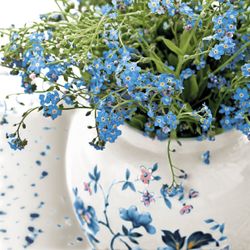 201069.jpg 47301-240x-PAPER---DESIGN-Tissue-Serviette-33-x-33-cm-Forget-Me-Not-3-lagig.jpg