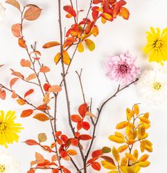 207449.jpg 47305-240x-PAPER---DESIGN-Tissue-Serviette-33-x-33-cm-Autumn-Branch-3-lagig.jpg
