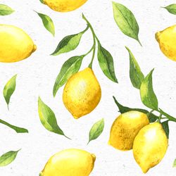 201867.jpg 47343-240x-PAPER---DESIGN-Tissue-Serviette-33-x-33-cm-Citrus-3-lagig.jpg