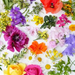 209971.jpg 47349-240x-PAPER---DESIGN-Tissue-Serviette-33-x-33-cm-Bloom-Canvas-3-lagig.jpg
