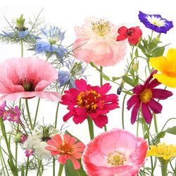 209976.jpg 47350-240x-PAPER---DESIGN-Tissue-Serviette-33-x-33-cm-Wildflower-garden-3-lagig.jpg