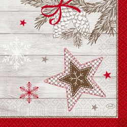 209931.jpg 47380-1000x-DUNI-Tissue-Serviette-33-x-33-cm-Cozy-Winter-3-lagig.jpg