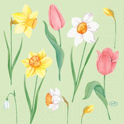210181.jpg 47399-1000x-DUNI-Tissue-Serviette-33-x-33-cm-Spring-Melody-3-lagig.jpg