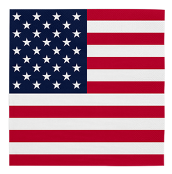 6736.png 48187-20-3-lagige-Papierservietten-33-x-33-cm-USA.png