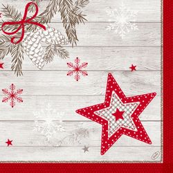 209950.jpg 48577-225x-Duni-Dunilin---Serviette-40-x-40-cm-Cozy-Winter.jpg