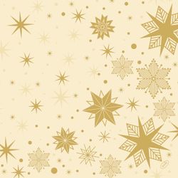 211554.jpg 48579-225x-Duni-Dunilin---Serviette-40-x-40-cm-Stargazing-Cream.jpg
