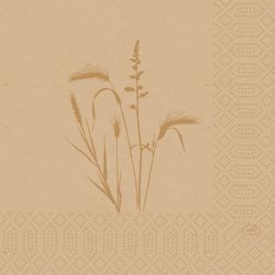 210375.jpg 48583-500x-DUNI-Tissue-Serviette-33-x-33-cm-Meadow-Natural-3-lagig.jpg