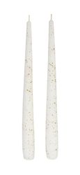 207855.jpg 48651-24x-DUNI-Leuchterkerzen-240-x----22-mm-7-5-Std--Weiss.jpg