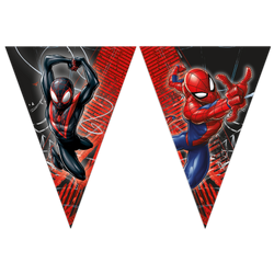 97318.png 48725-Wimpelkette-aus-Papier-Spiderman-World-of-Web.png