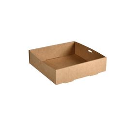 200930.jpg 48874-100x-DUNI-Glance-Catering-Tray-Small-225-x-226-x-60-mm-Braun-ungeteilt.jpg