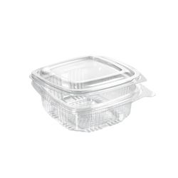 205970.jpg 49009-600x-DUNI-Deli-Hinged-250-ml-Transparent-ungeteilt.jpg