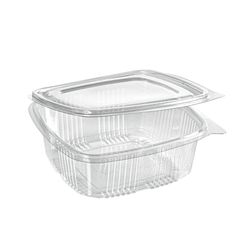 208270.jpg 49015-400x-DUNI-Deli-Hinged-1000-ml-Transparent-ungeteilt.jpg