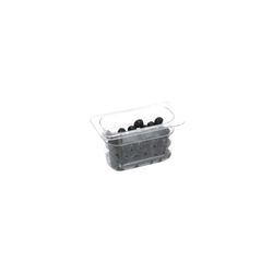 149102v01_main_product_photo_1zi7lin4kbz 50436-Gastronormbehaelter--Serie-STANDARD--Polycarbonat--GN-1-9--100-mm-.jpg
