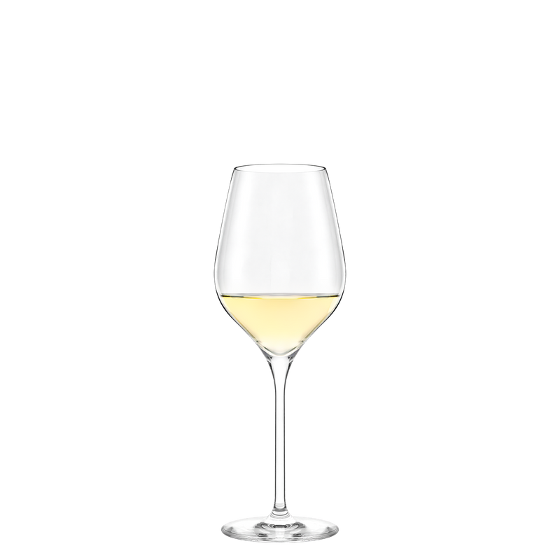 6x Stölzle Lausitz Exquisit Royal Weißweinkelch / Weißweinglas 350 ml