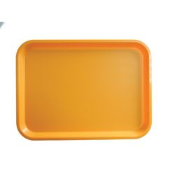 413032v01_main_product_photo_u66xslubmri 51244-Fast-Food-Tablett--415x305-mm--Polypropylen--Orangefarben.jpg