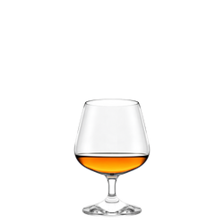 51558-6x-Stoelzle-Lausitz-Professional-Cognacglas-425-ml.png 51558-6x-Stoelzle-Lausitz-Professional-Cognacglas-425-ml.png