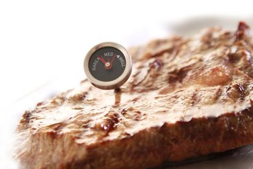 100x Steak-Thermometer – Set mit 4 Stück,⌀25x(H)70mm