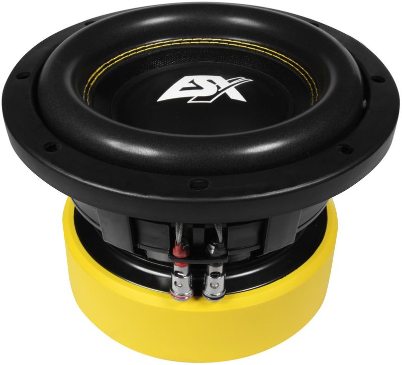 ESX QUANTUM QE822 20 cm Subwoofer Doppelschwingspule 2 x 2 Ohm QE-822 200 mm ESX QUANTUM QE822 20 cm Subwoofer Doppelschwingspule 2 x 2 Ohm QE-822 200 mm