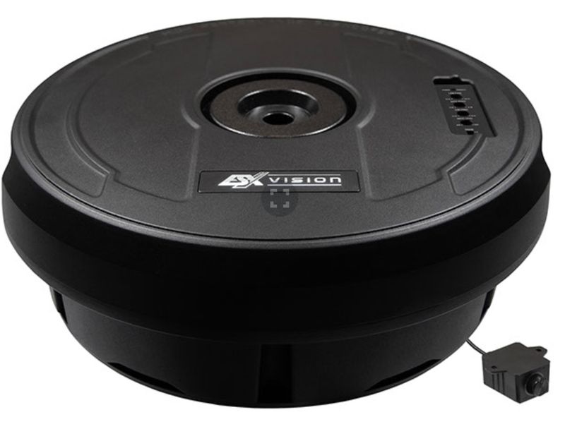 ESX Vision V1100Av2 Aktiv Subwoofer mit integriertem Verstärker für Ersatzradmulde
