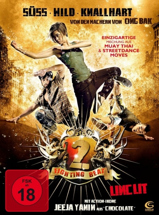 Fighting Beat 2 - Uncut [DVD] - gebraucht gut