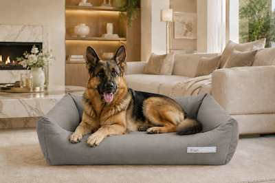 Hundebetten