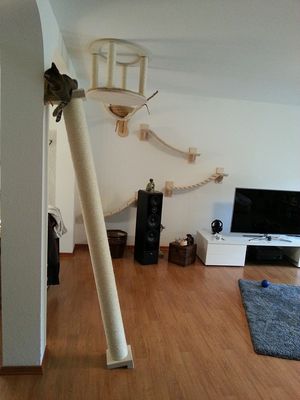 Klettersäule Freeclimber, 3 Längen
