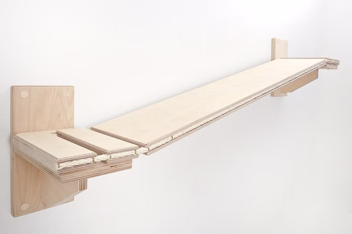 Goldtatze Katzen Catwalk mit Laufbohle und Wandhaltern