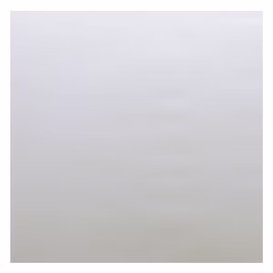 10760-THAKKER-Record-Cover-Sleeves-----12--50-antistatische-Aussenhuellen---extra-starker-Premium-Schutz-fuer-alle-12--Schallplattencover-LPs-und-Maxis-ZB-THAKKER-50-COVER-SLEEVES-STRON_1.jpg