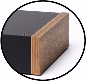 10765-Pro-Ject-Seitenwangen-fuer-DS2-DS3-Eukalyptus-PJ-WANGEN-DS2-DS3-Walnuss_1.jpg