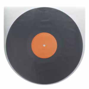 8230-Thakker-LP-Record-Sleeves-Schallplatten-Innenhuellen--antistatisch-100-Stueck-ZB-THAKKER-RECORD-SLEEVES_3.jpg